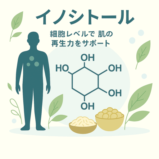 イノシトールの分子構造と肌の再生をサポートする説明が描かれたイラスト

