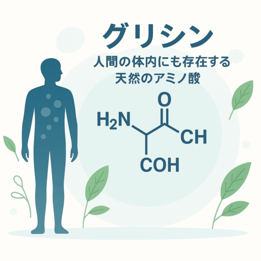 体内にも存在する天然アミノ酸グリシンの分子構造と人体シルエットのイラスト
