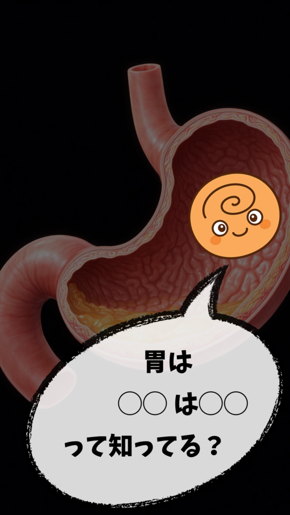 胃の断面図のCG