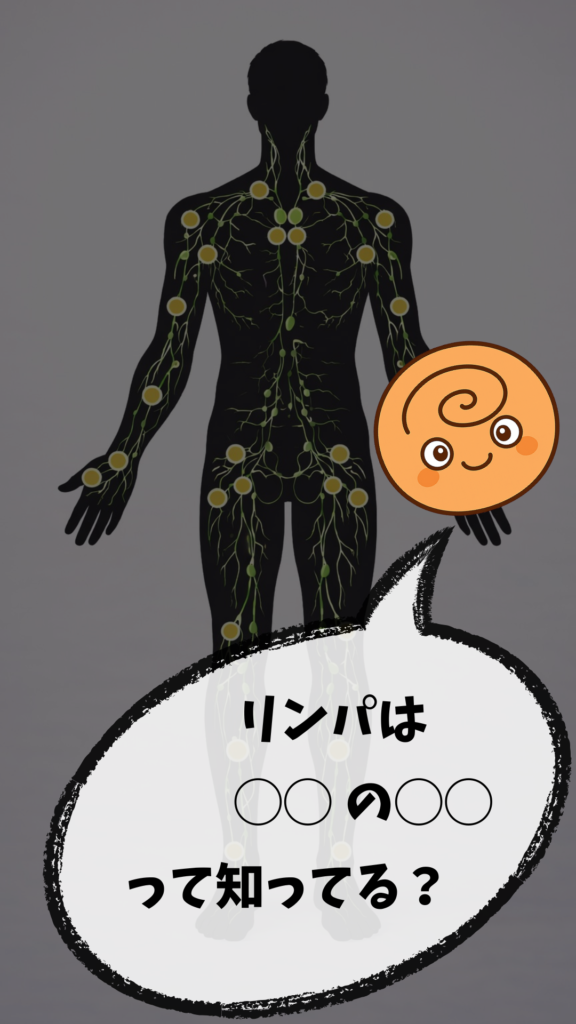リンパの動きを記した人体図